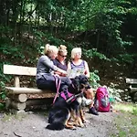 Apartmán Berg- Und Seeblick Am Hillebachsee By Interhome
