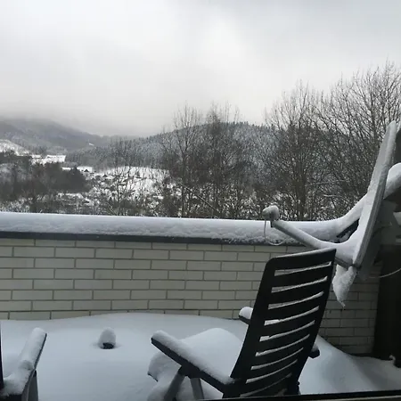 Berg- Und Seeblick Am Hillebachsee By Interhome Appartamento Winterberg