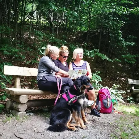 Apartmán Berg- Und Seeblick Am Hillebachsee By Interhome