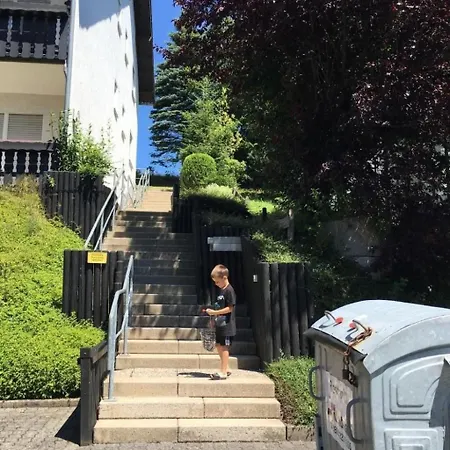 Apartment Berg- Und Seeblick Am Hillebachsee By Interhome Winterberg