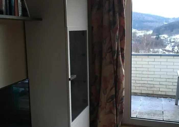 Berg- Und Seeblick Am Hillebachsee By Interhome Apartment Winterberg