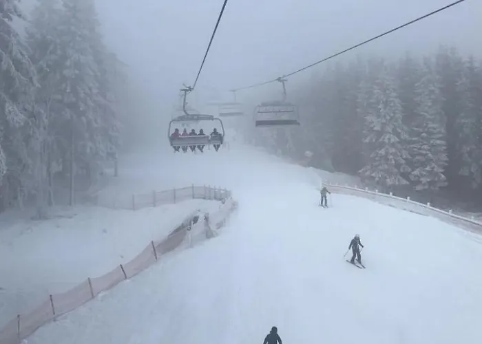 Apartment Berg- Und Seeblick Am Hillebachsee By Interhome Winterberg