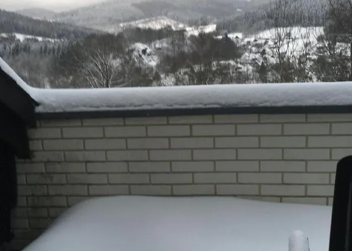 Apartment Berg- Und Seeblick Am Hillebachsee By Interhome