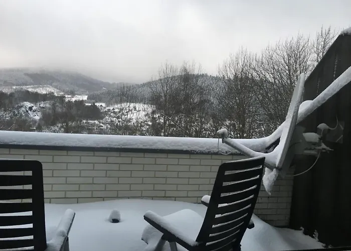 Berg- Und Seeblick Am Hillebachsee By Interhome Apartment Winterberg