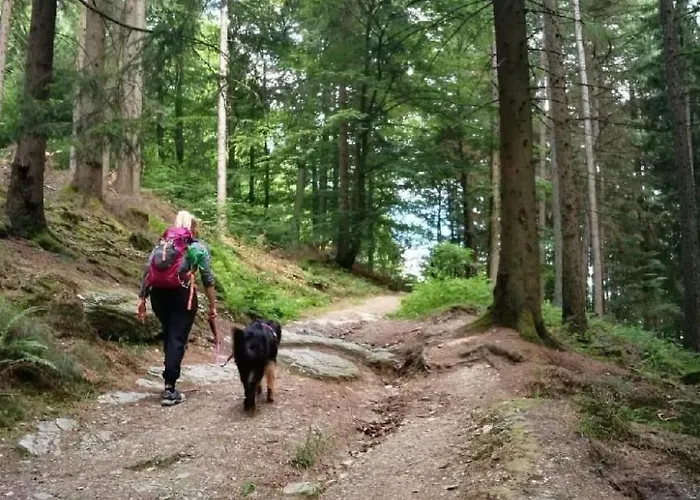 Berg- Und Seeblick Am Hillebachsee By Interhome *