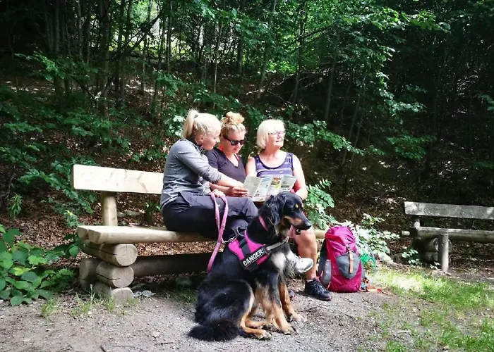 Lägenhet Berg- Und Seeblick Am Hillebachsee By Interhome