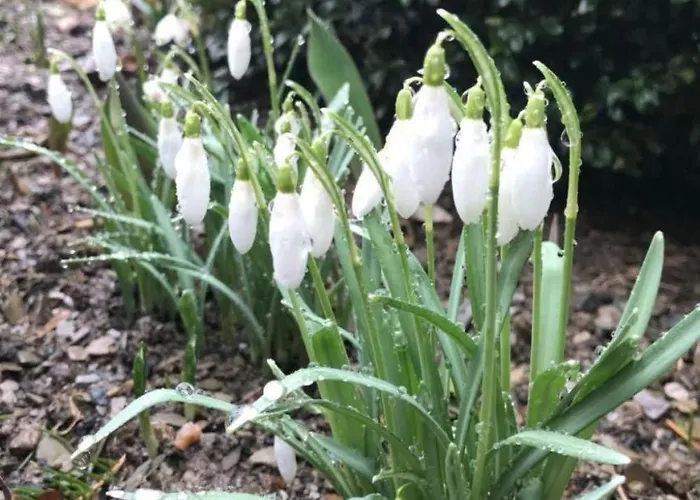 Apartment Berg- Und Seeblick Am Hillebachsee By Interhome *