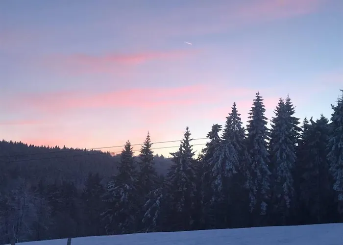 Apartment Berg- Und Seeblick Am Hillebachsee By Interhome Winterberg