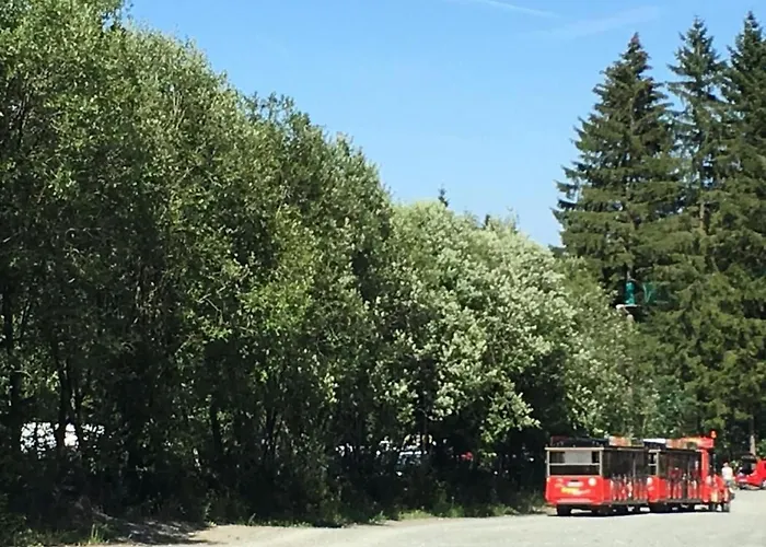 Berg- Und Seeblick Am Hillebachsee By Interhome Apartment Winterberg