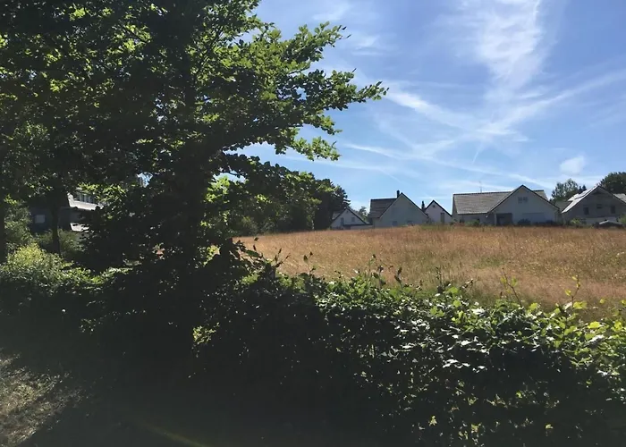 Berg- Und Seeblick Am Hillebachsee By Interhome Apartment *