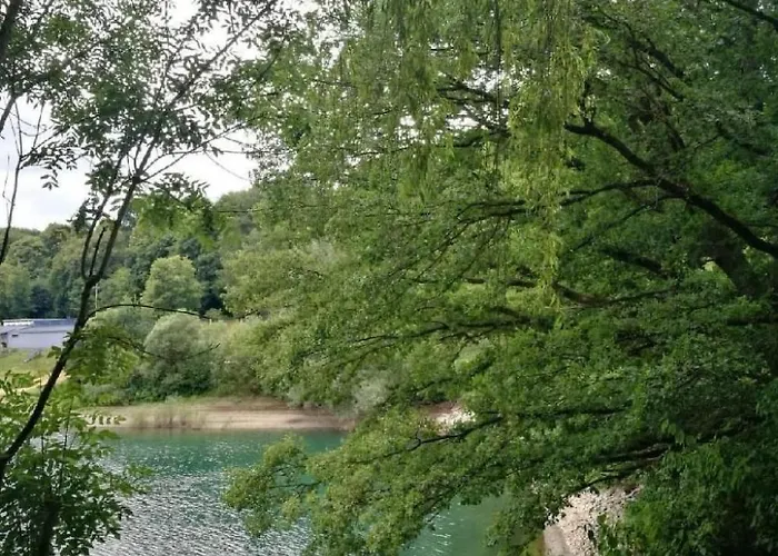 Berg- Und Seeblick Am Hillebachsee By Interhome Apartment Winterberg