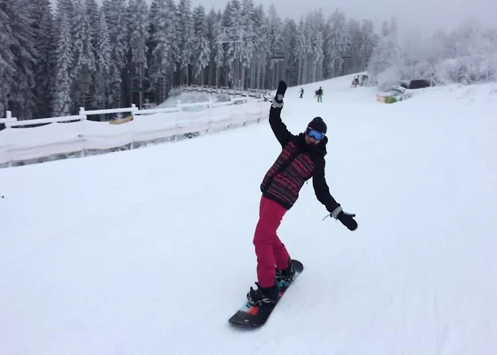 Apartment Berg- Und Seeblick Am Hillebachsee By Interhome *