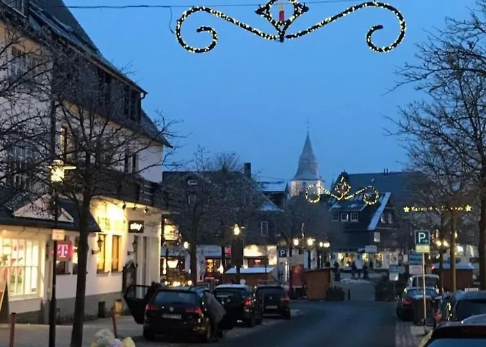Berg- Und Seeblick Am Hillebachsee By Interhome Winterberg