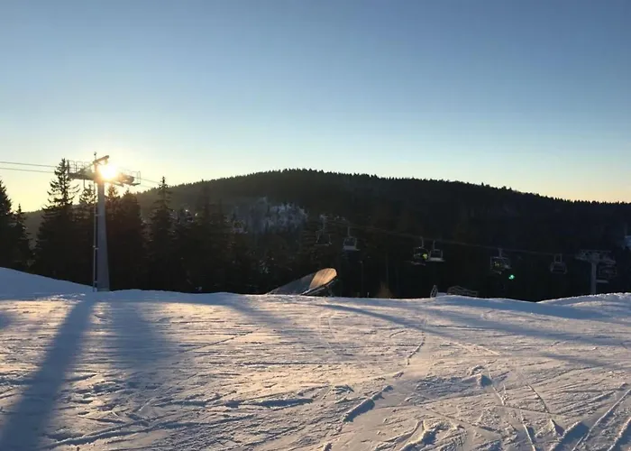 Berg- Und Seeblick Am Hillebachsee By Interhome Winterberg